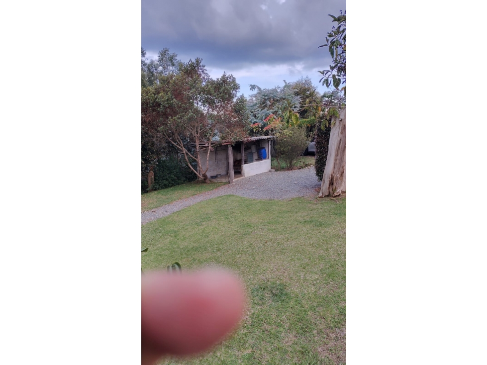 Finca Venta Santa Elena — foto 4