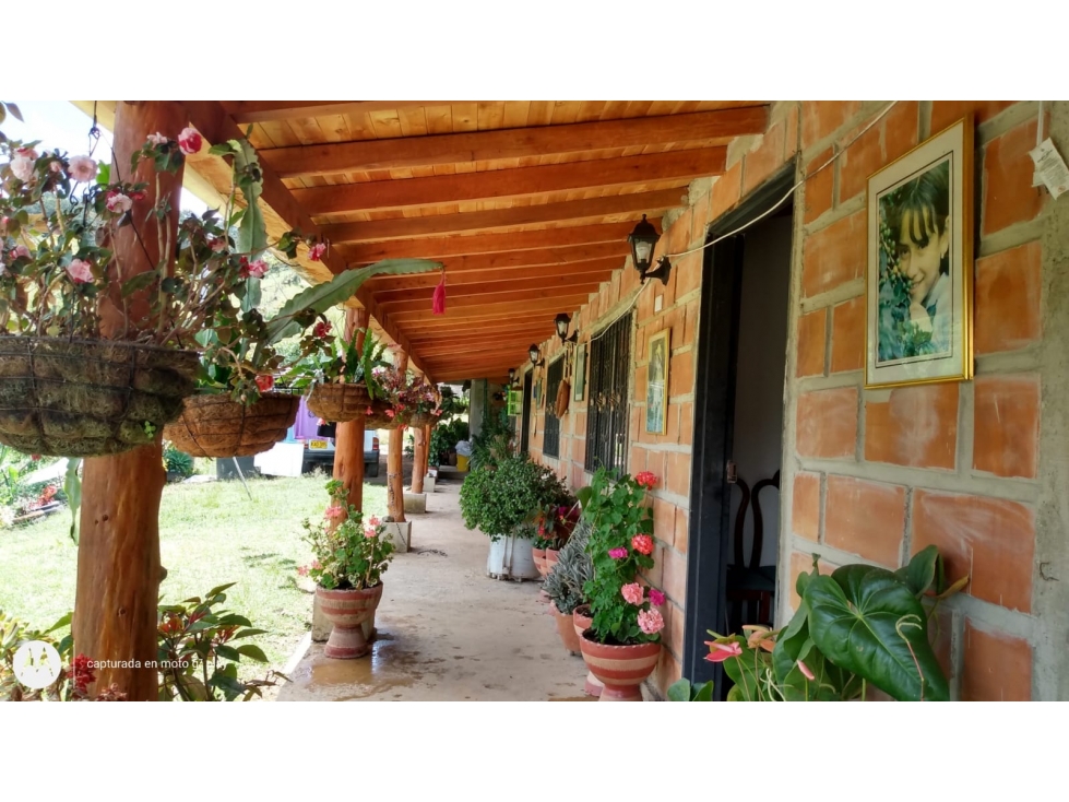 Finca Productora en Venta, San Vicente Ferrer Antioquia — foto 4