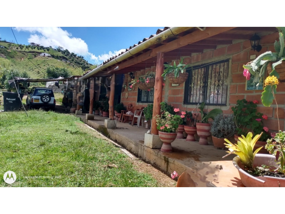 Finca Productora en Venta, San Vicente Ferrer Antioquia — foto 5