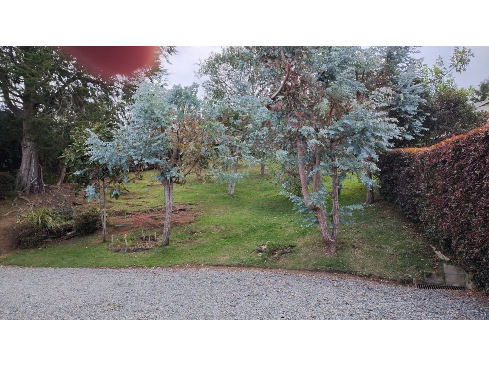 Finca Venta Santa Elena — foto 6