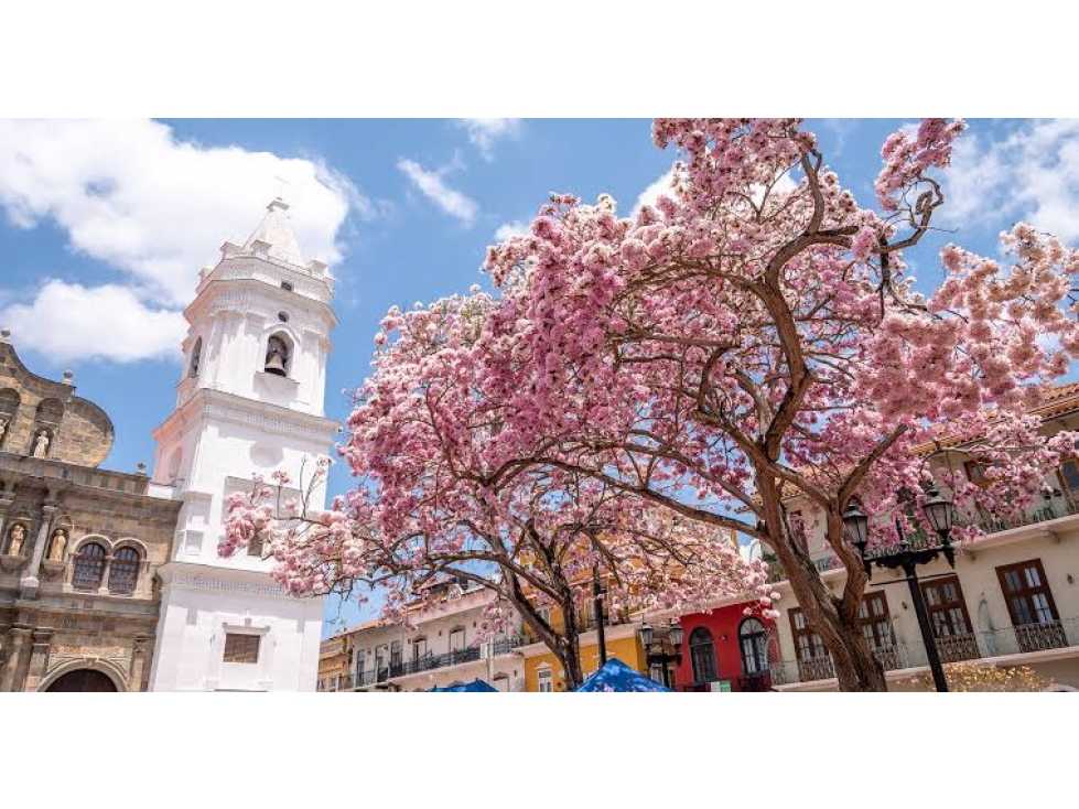 Locales Comerciales en Venta Santa Teresita Living — foto 4