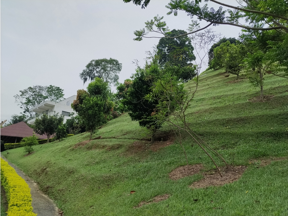 FINCA VEREDA SAN DIEGO — foto 3