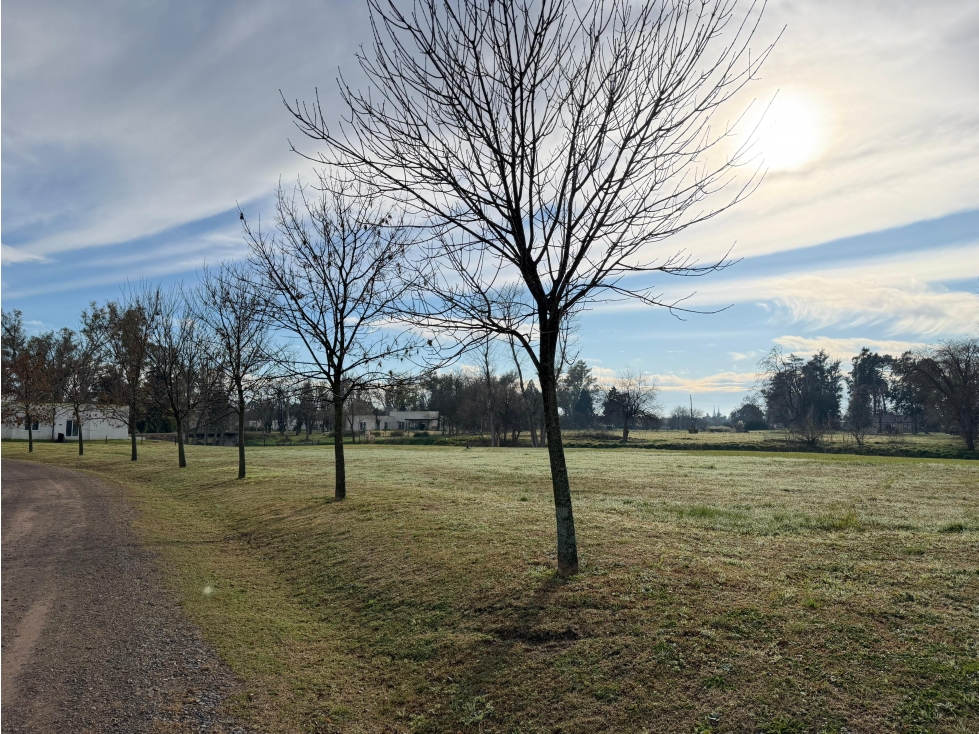 Lote a la venta Club De Campo La Asunción - 5