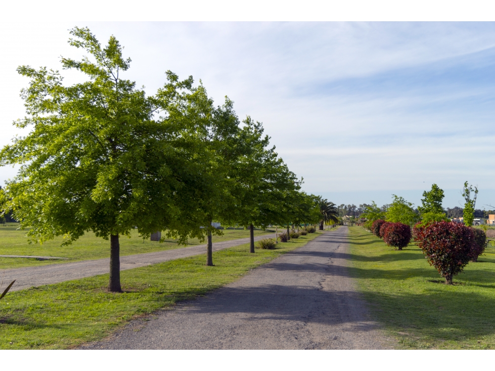 Lote a la Venta en Los Juncos — foto 6