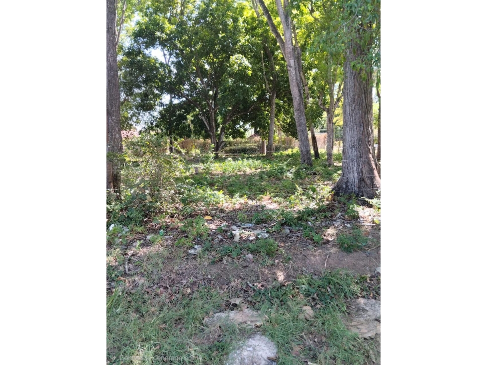 Se Vende terreno en Playa Nueva Gorgona (LG) - 1