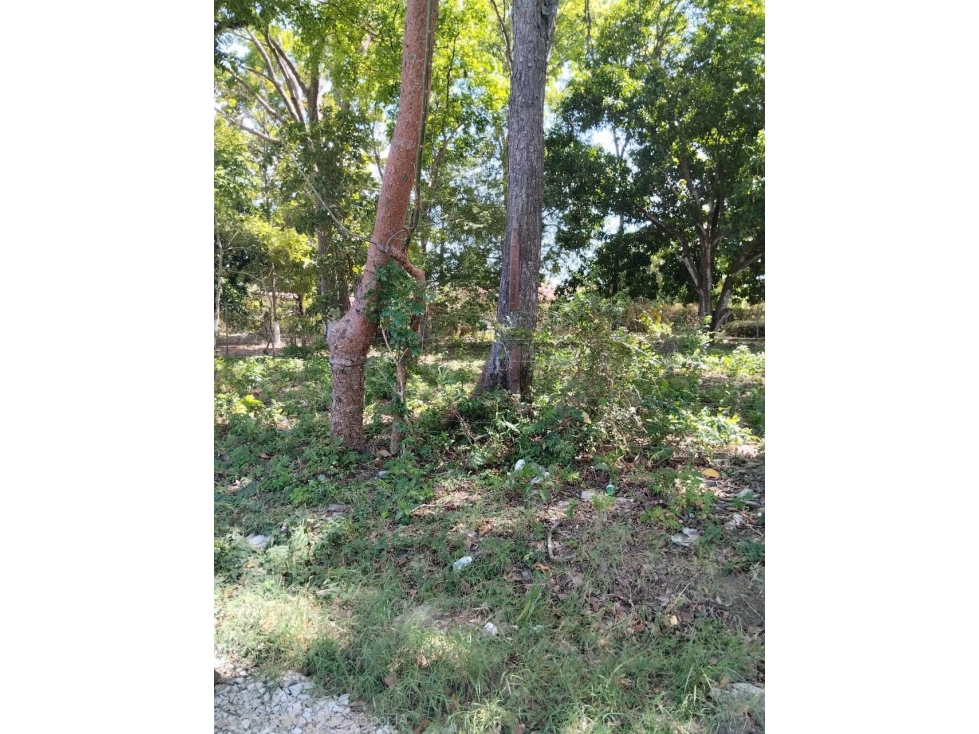 Se Vende terreno en Playa Nueva Gorgona (LG) - 2
