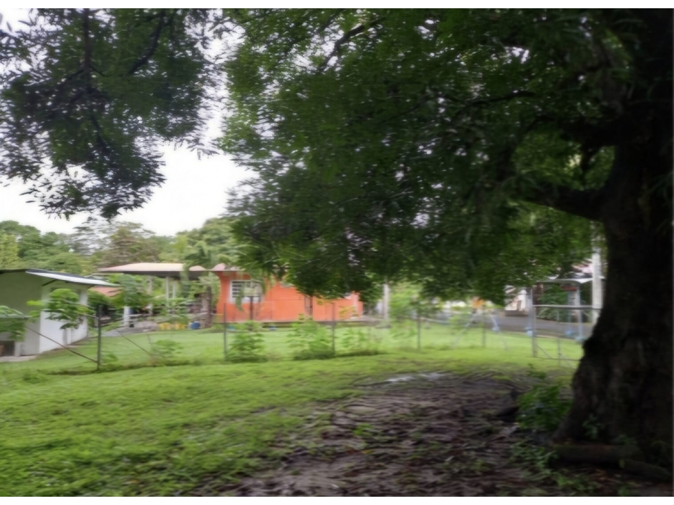 Se vende terreno en Chame - 1