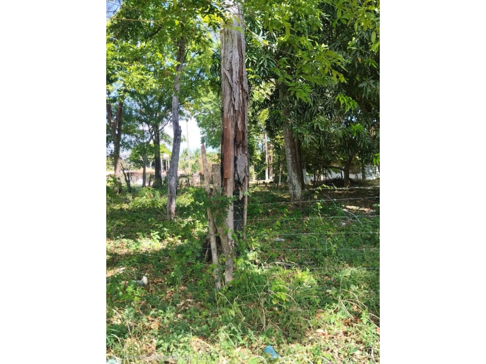 Se Vende terreno en Playa Nueva Gorgona (LG) - 3
