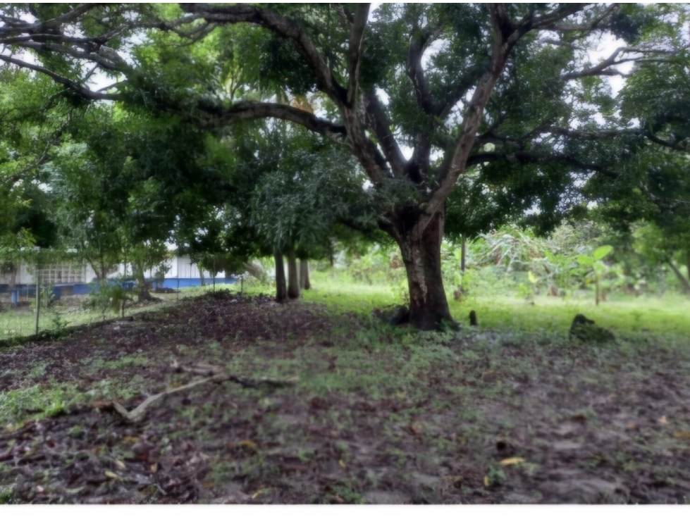 Se vende terreno en Chame - 2