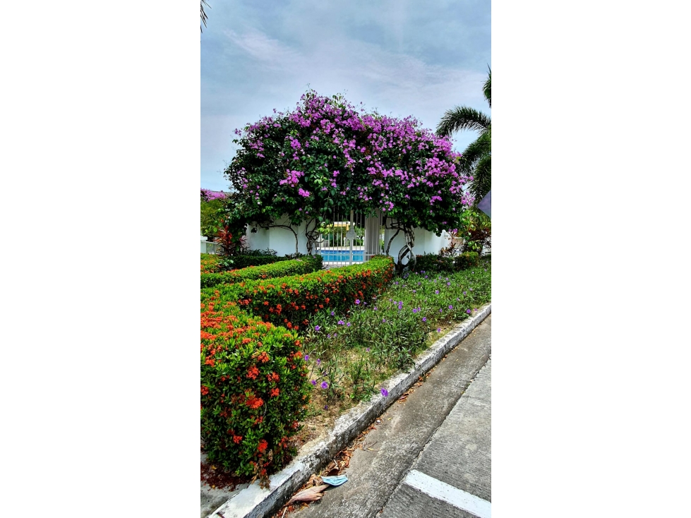 Se Vende apartamento PH Rodman, Bijao (MZ) — foto 3