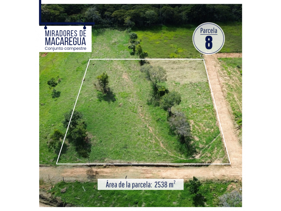 LOTES DE 2500M2 EN CURITI SANTANDER - 2