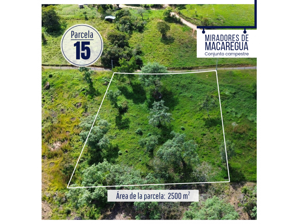 LOTES DE 2500M2 EN CURITI SANTANDER - 5