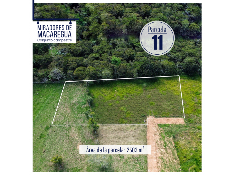 LOTES DE 2500M2 EN CURITI SANTANDER - 6