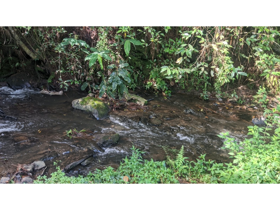 Terreno en venta con rio, Casas Viejas - 1