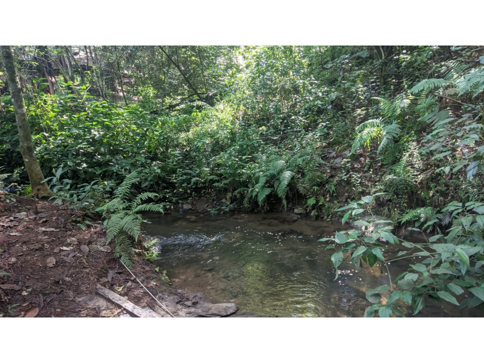 Terreno en venta con rio, Casas Viejas - 4