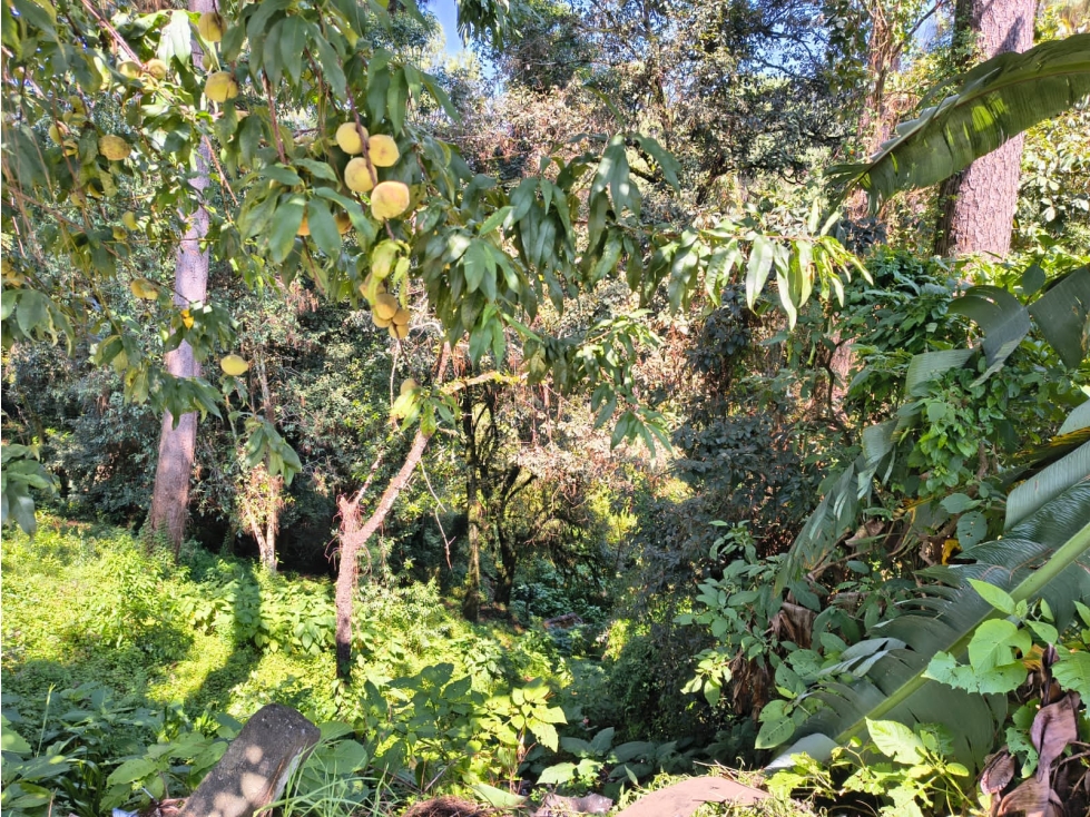 Terreno en Casas Viejas — foto 4