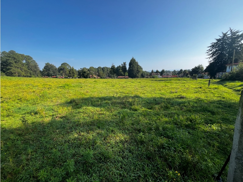 Terreno en venta Cerro Gordo