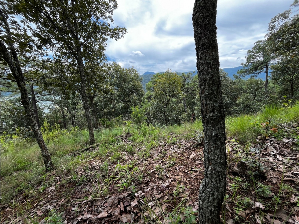 Terreno en venta el Cerrillo — foto 3