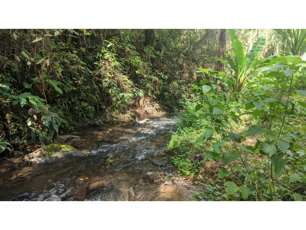 Terreno en venta con rio, Casas Viejas - 2