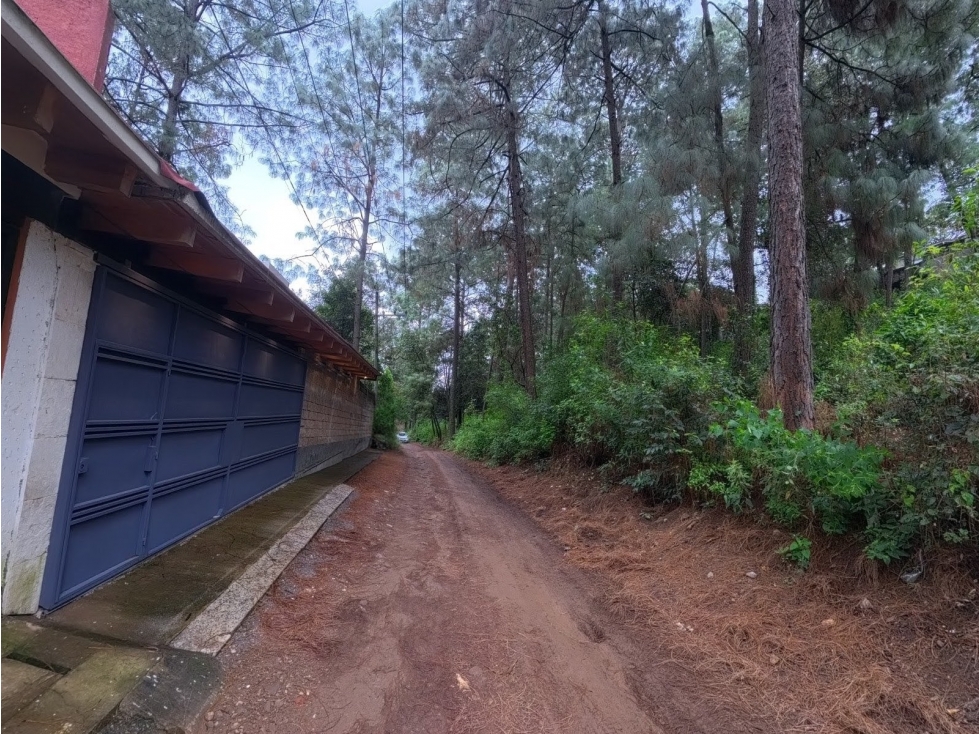 Terreno en venta los Cerritos, Cerro Gordo - 2