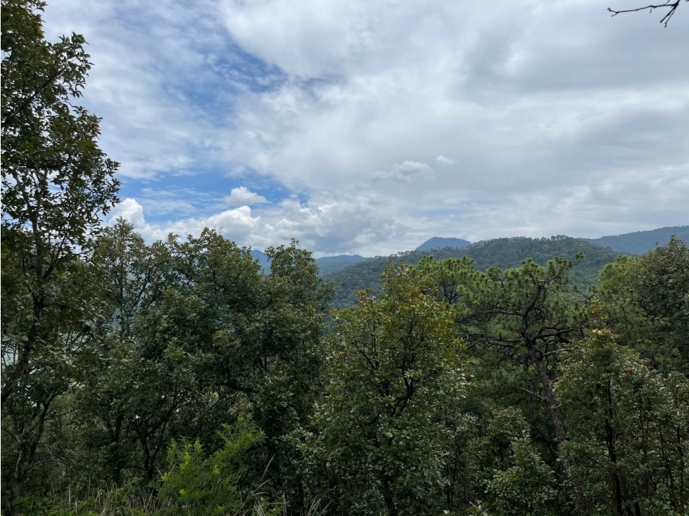 Terreno en venta el Cerrillo — foto 2