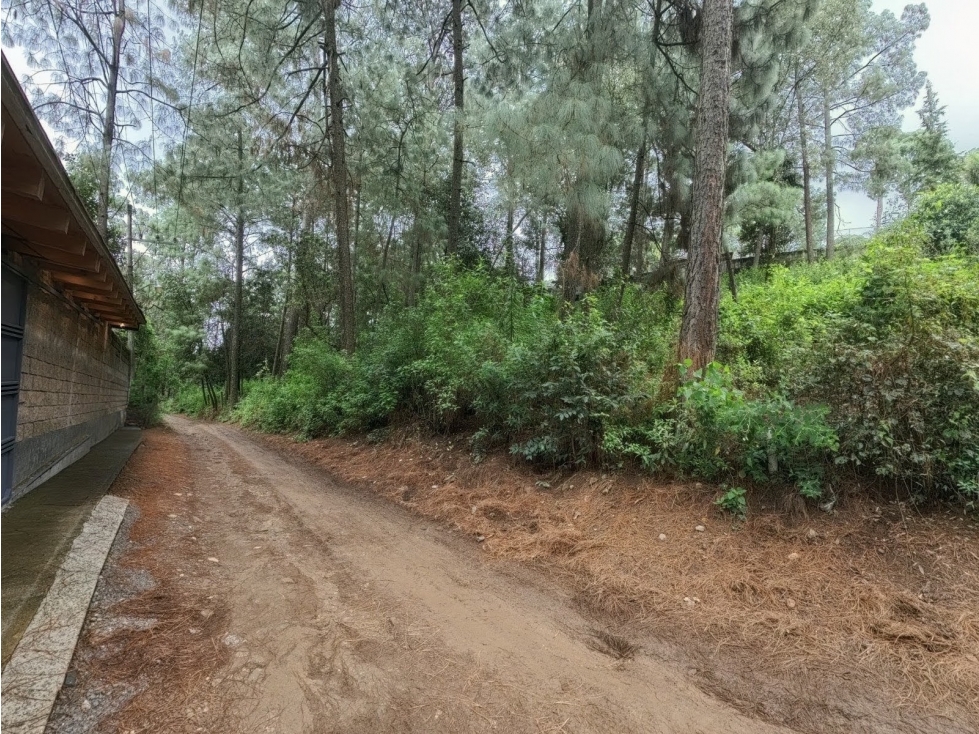 Terreno en venta los Cerritos, Cerro Gordo - 3