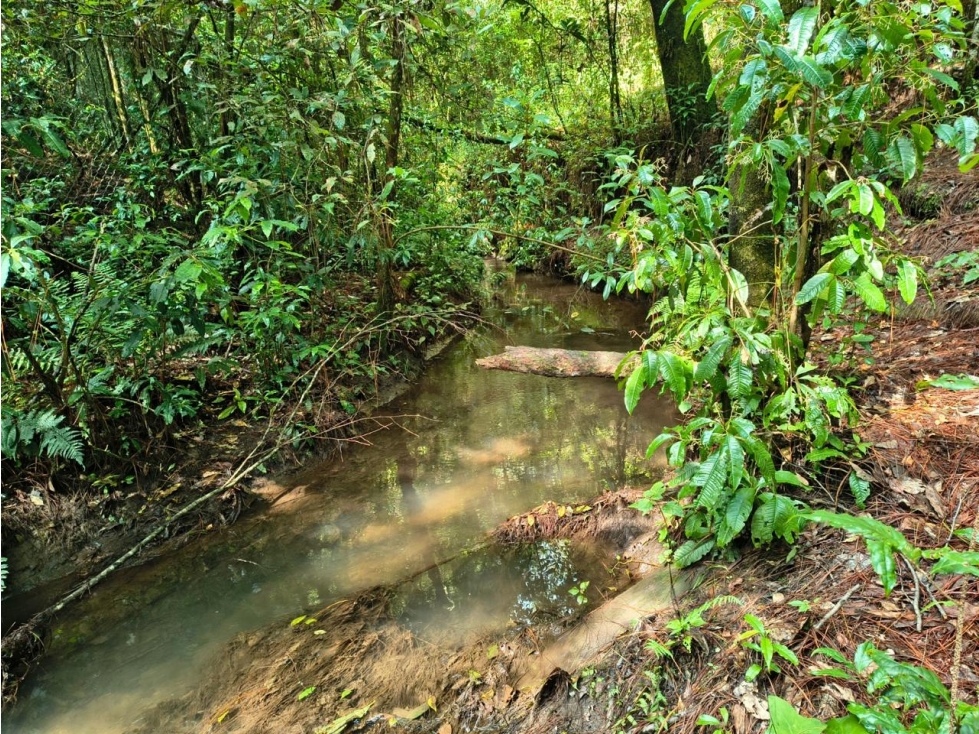 Terreno en venta en Cerro Gordo