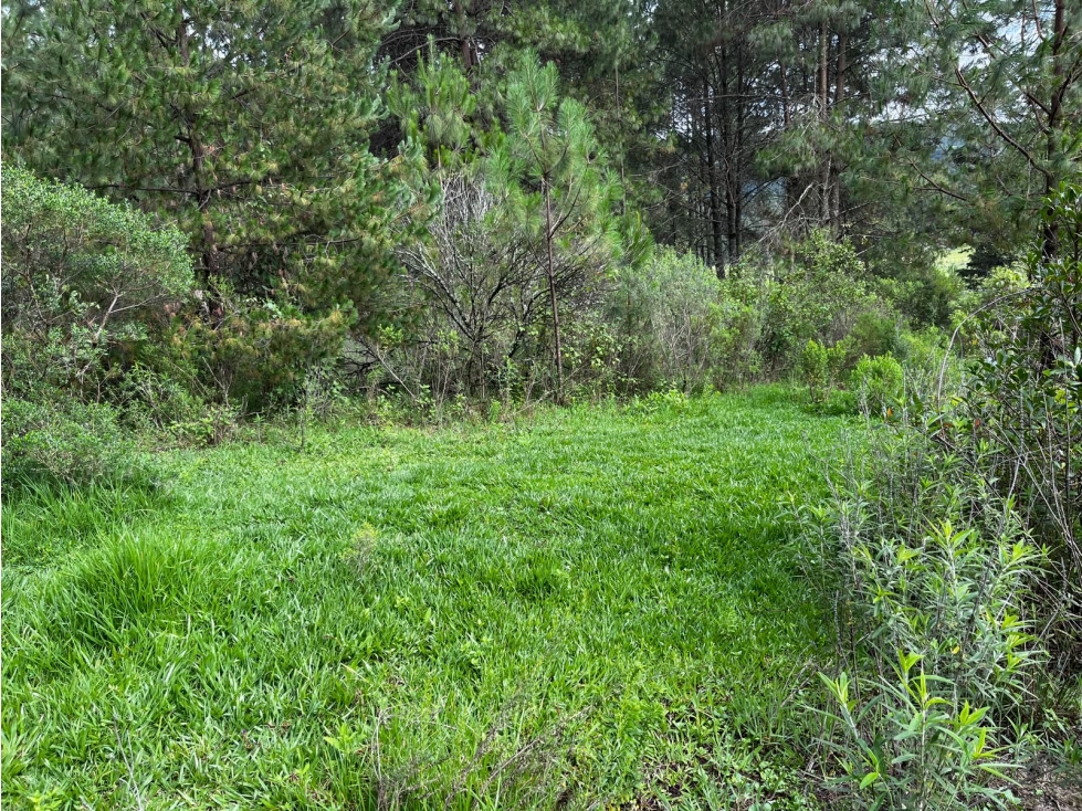 Terreno en venta en Pinal del Marquesado