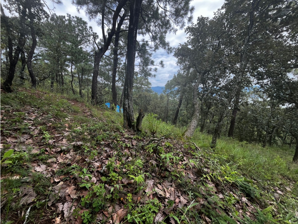Terreno en venta el Cerrillo — foto 5