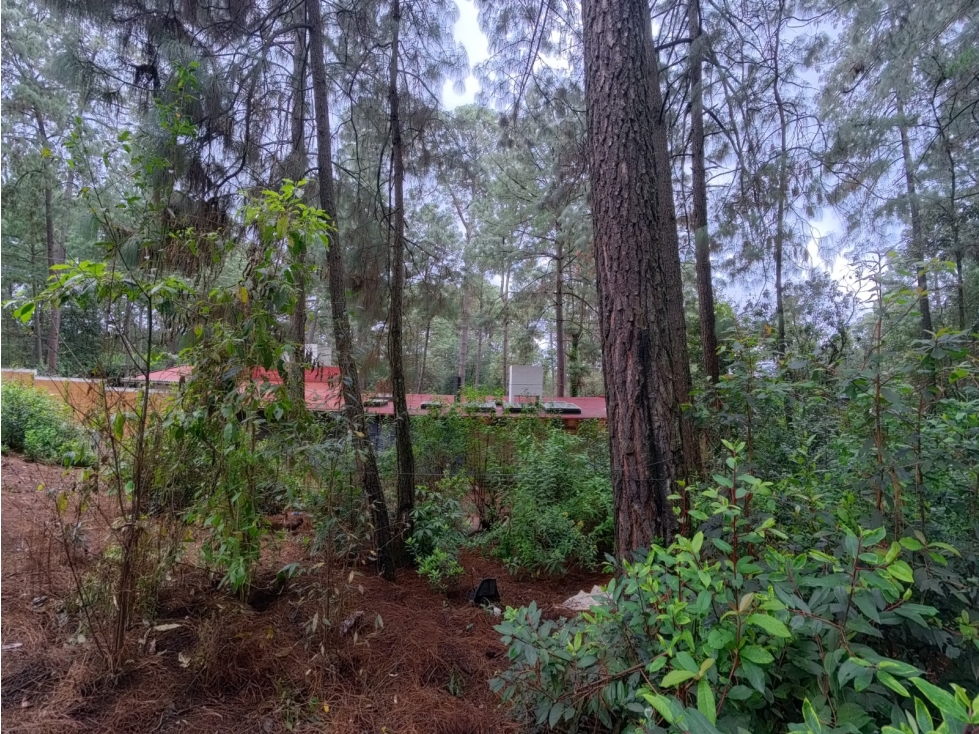 Terreno en venta los Cerritos, Cerro Gordo - 4