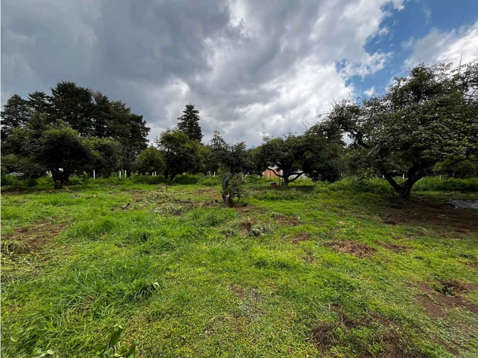 Terreno en venta en Casas Viejas