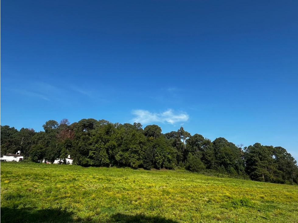 Terreno en venta Cerro Gordo — foto 6