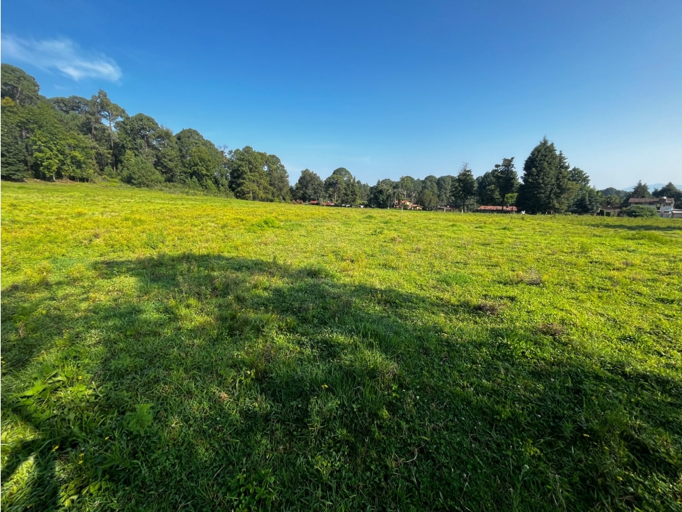 Terreno en venta Cerro Gordo — foto 5