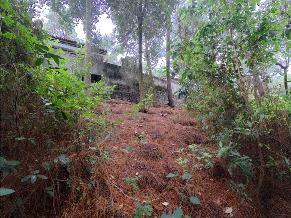 Terreno en venta los Cerritos, Cerro Gordo - 6