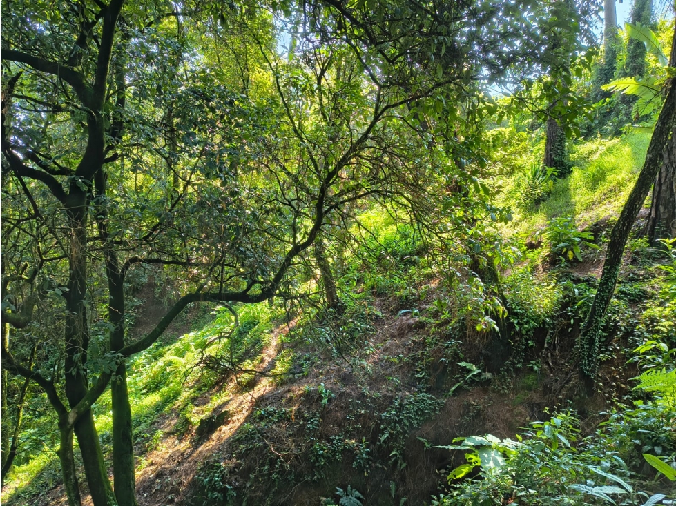 Terreno en Casas Viejas — foto 3