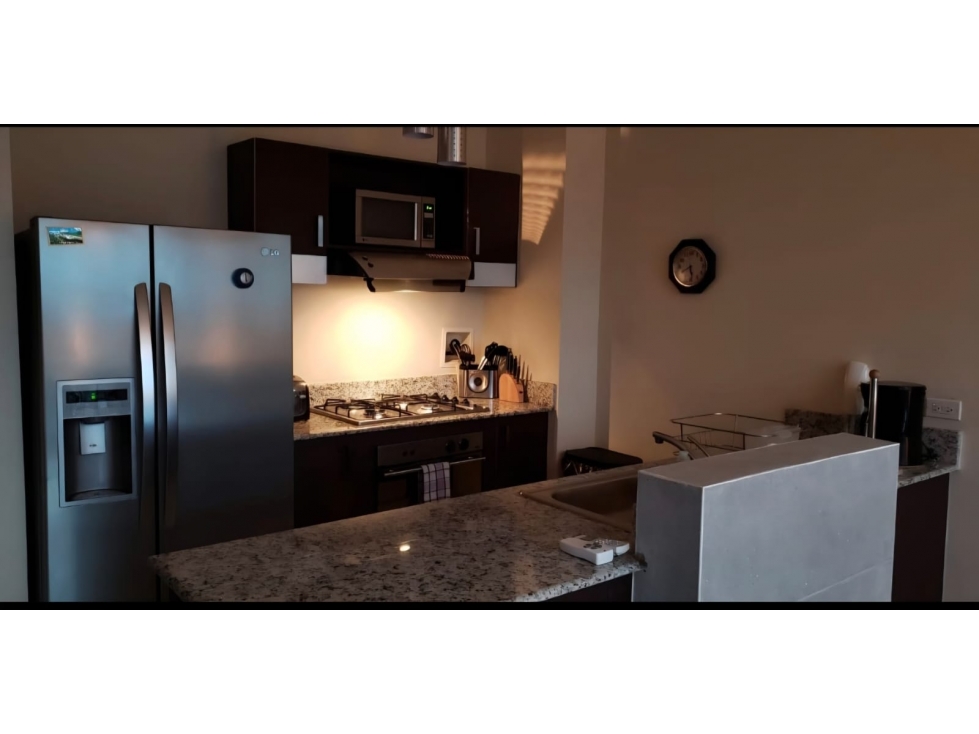 Apartamento en Alquiler | PH Vitro Loft | El Cangrejo — foto 6