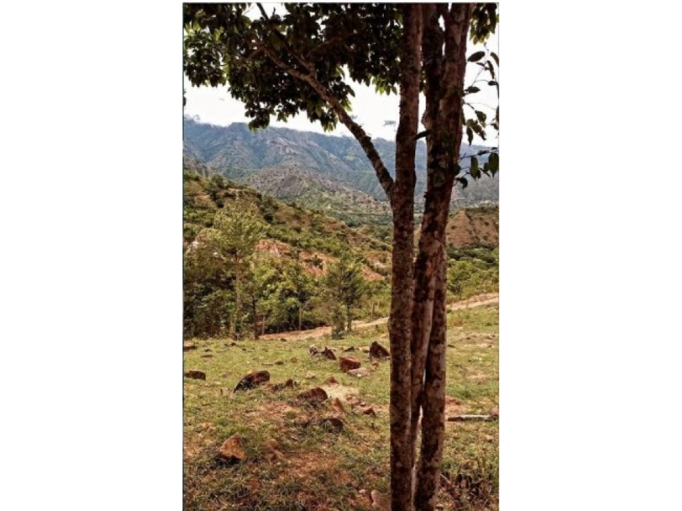 VENTA DE LOTE EN SANTA FE DE ANTIOQUIA - 1