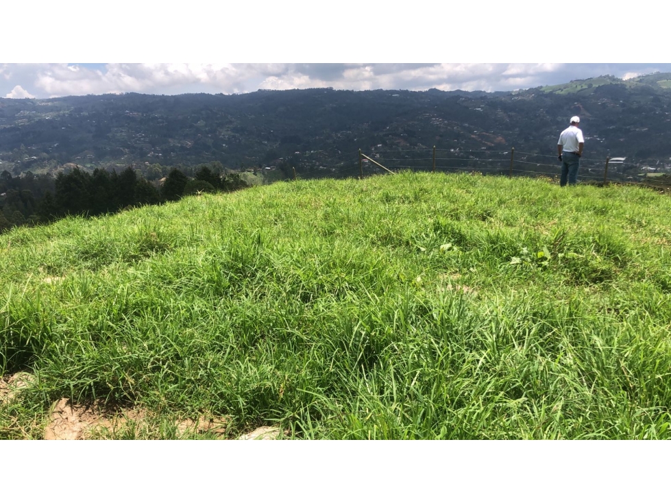 VENTA LOTE EN EL MUNICIPIO DE GUARNE — foto 2