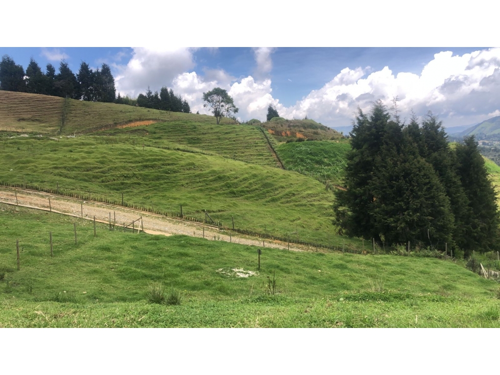 VENTA LOTE EN EL MUNICIPIO DE GUARNE — foto 3