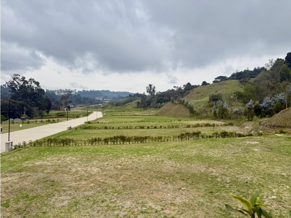 Lote en venta en el Alto de las Palmas - 4