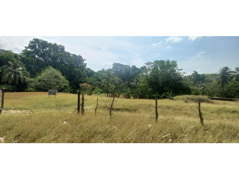 TERRENO EN VENTA/ LOS LOTES DE PACORA - 2