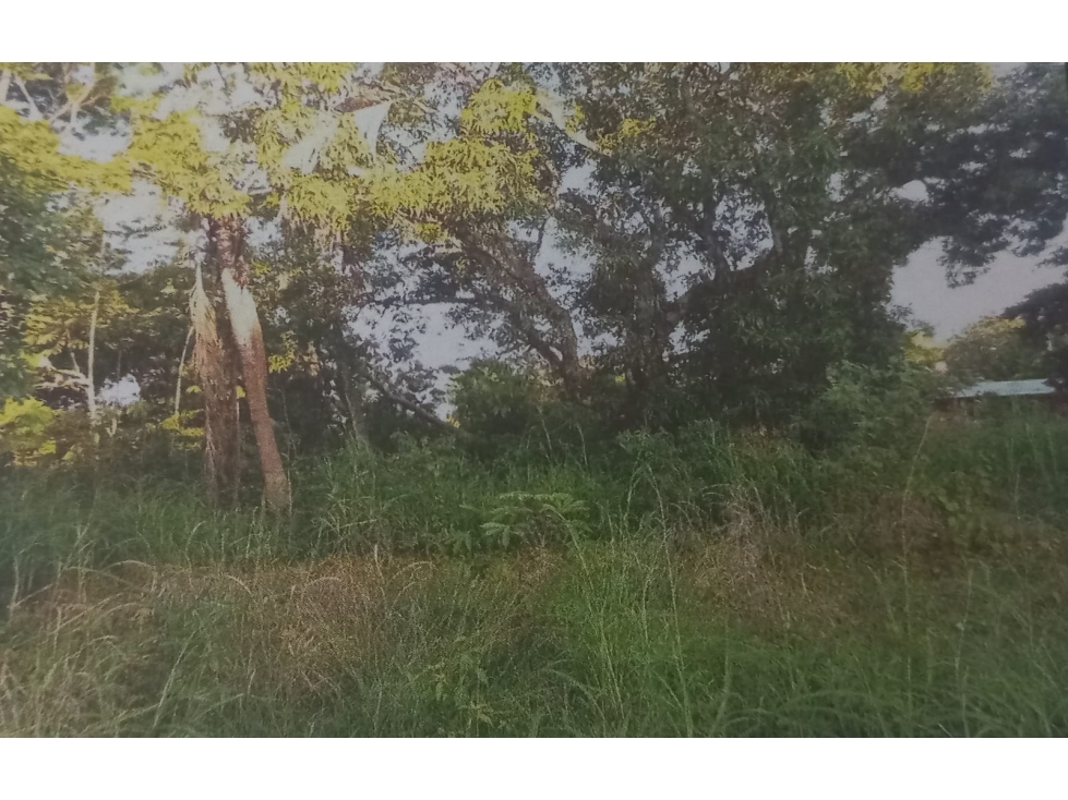 TERRENO EN VENTA / EL EMBALSADERO VERAGUAS - 3