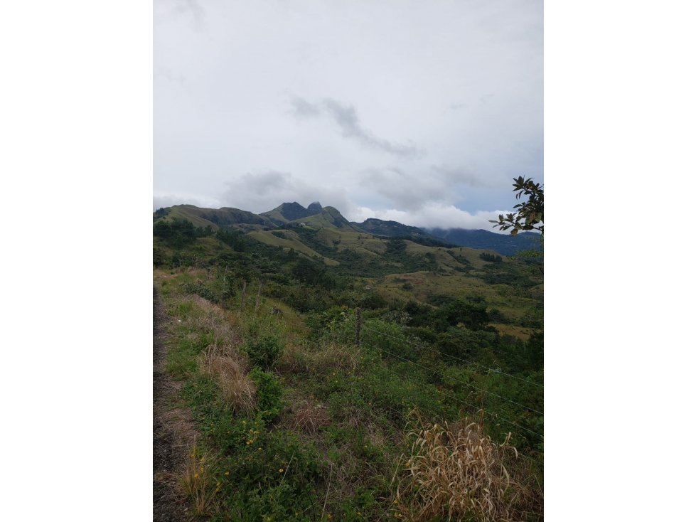VENTA DE TERRENO/ EL NANCITO, LA LAGUNA DE SAN CARLOS - 1