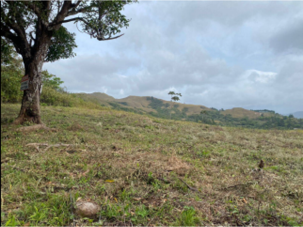 TERRENO EN VENTA/ LA SOLANA, LA LAGUNA DE SAN CARLOS - 2