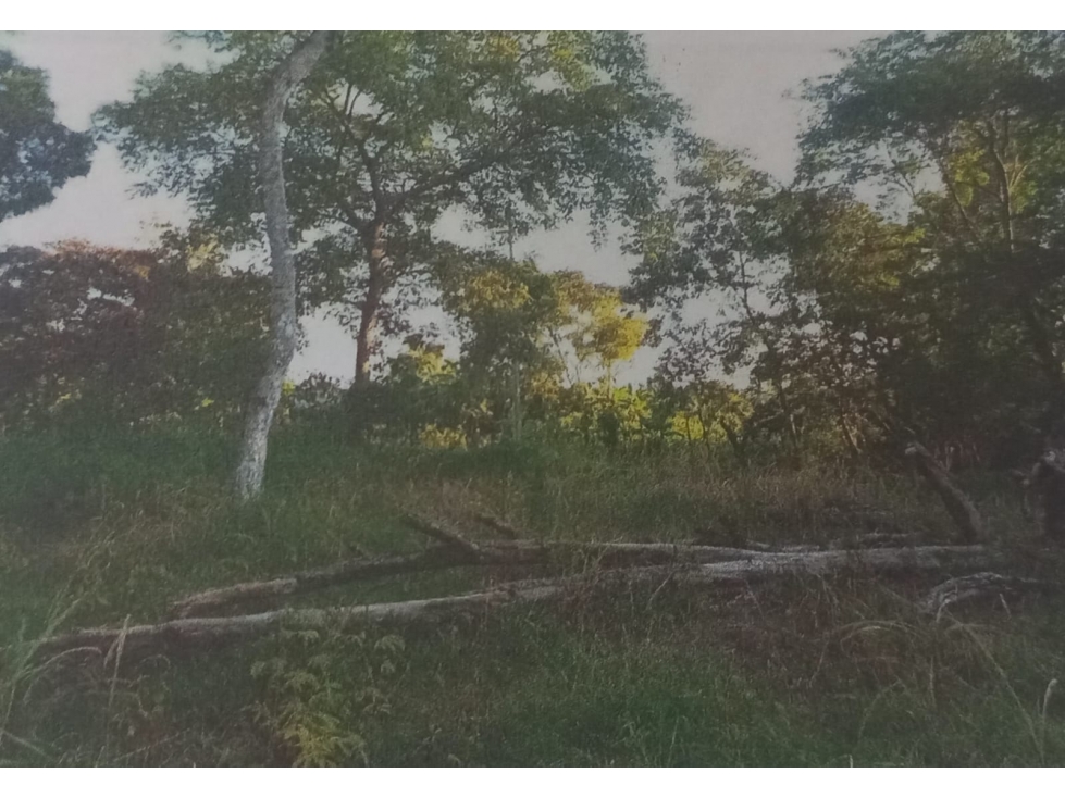 TERRENO EN VENTA / EL EMBALSADERO VERAGUAS - 4