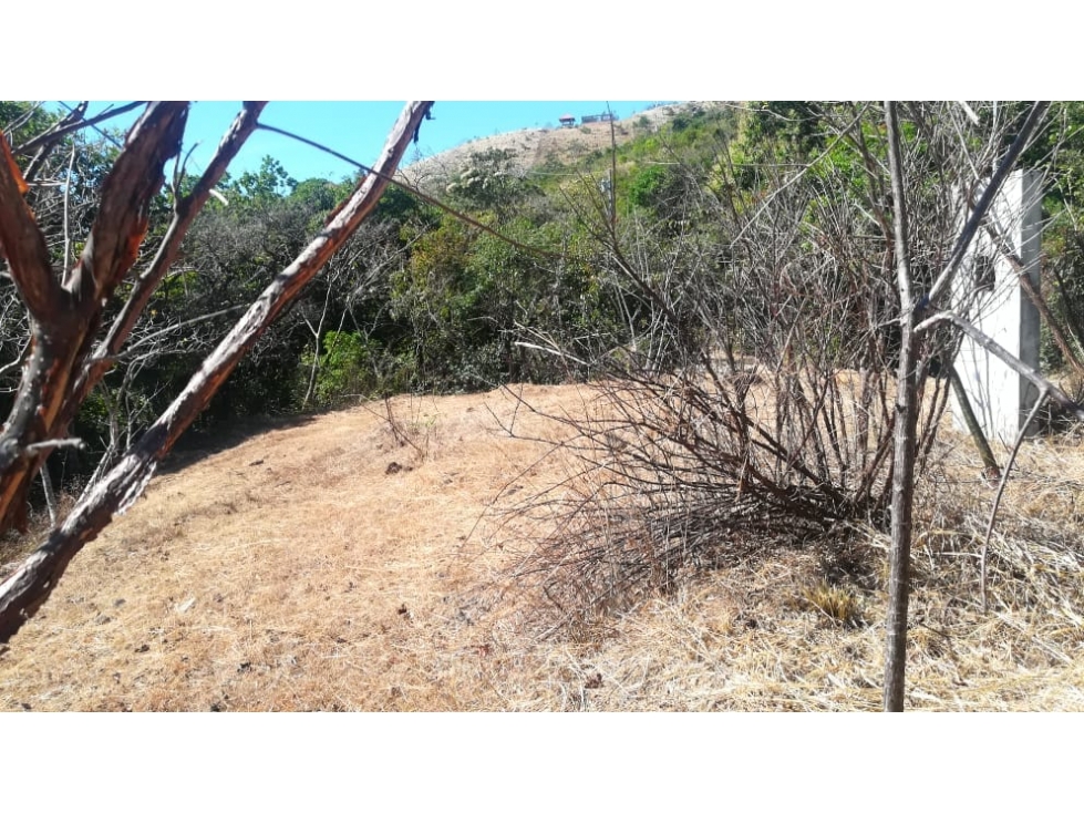 VENTA DE TERRENO/ EL NANCITO, LA LAGUNA DE SAN CARLOS - 4