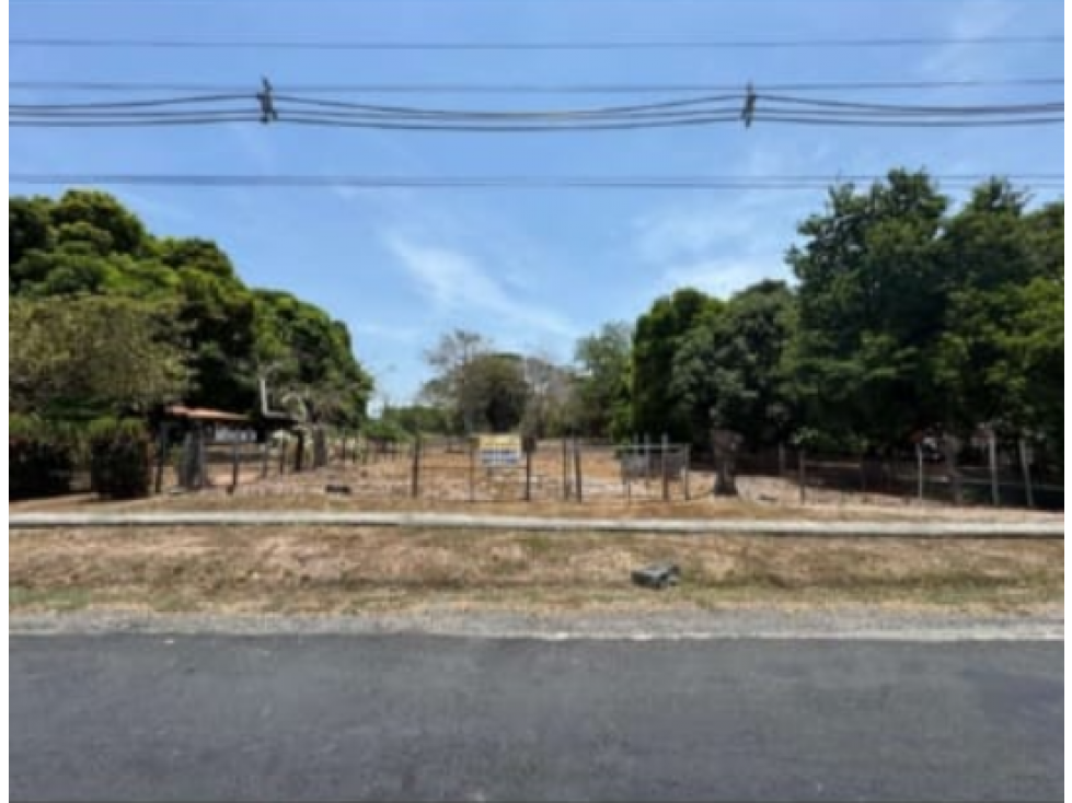 TERRENO EN VENTA / LAS UVAS DE SAN CARLOS - 1