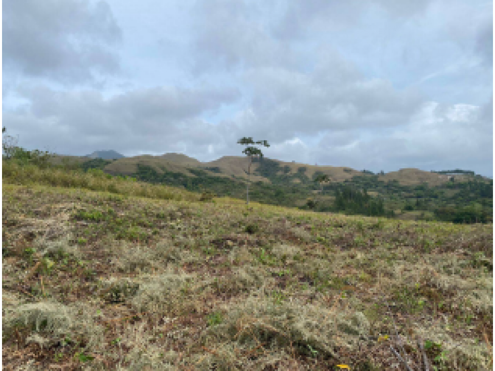 TERRENO EN VENTA/ LA SOLANA, LA LAGUNA DE SAN CARLOS - 3