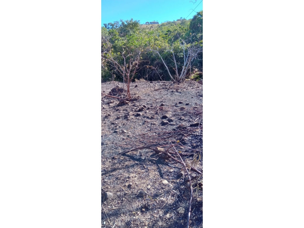 VENTA DE TERRENO/ EL NANCITO, LA LAGUNA DE SAN CARLOS - 5