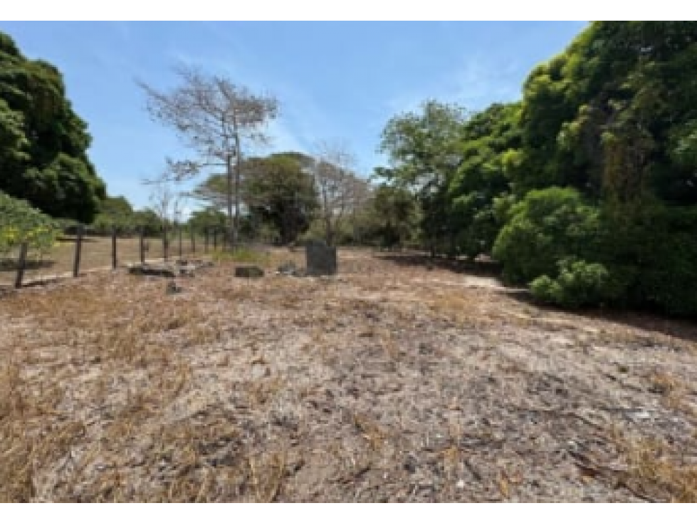 TERRENO EN VENTA / LAS UVAS DE SAN CARLOS - 2